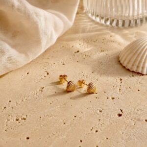 Schelp oorbellen goud